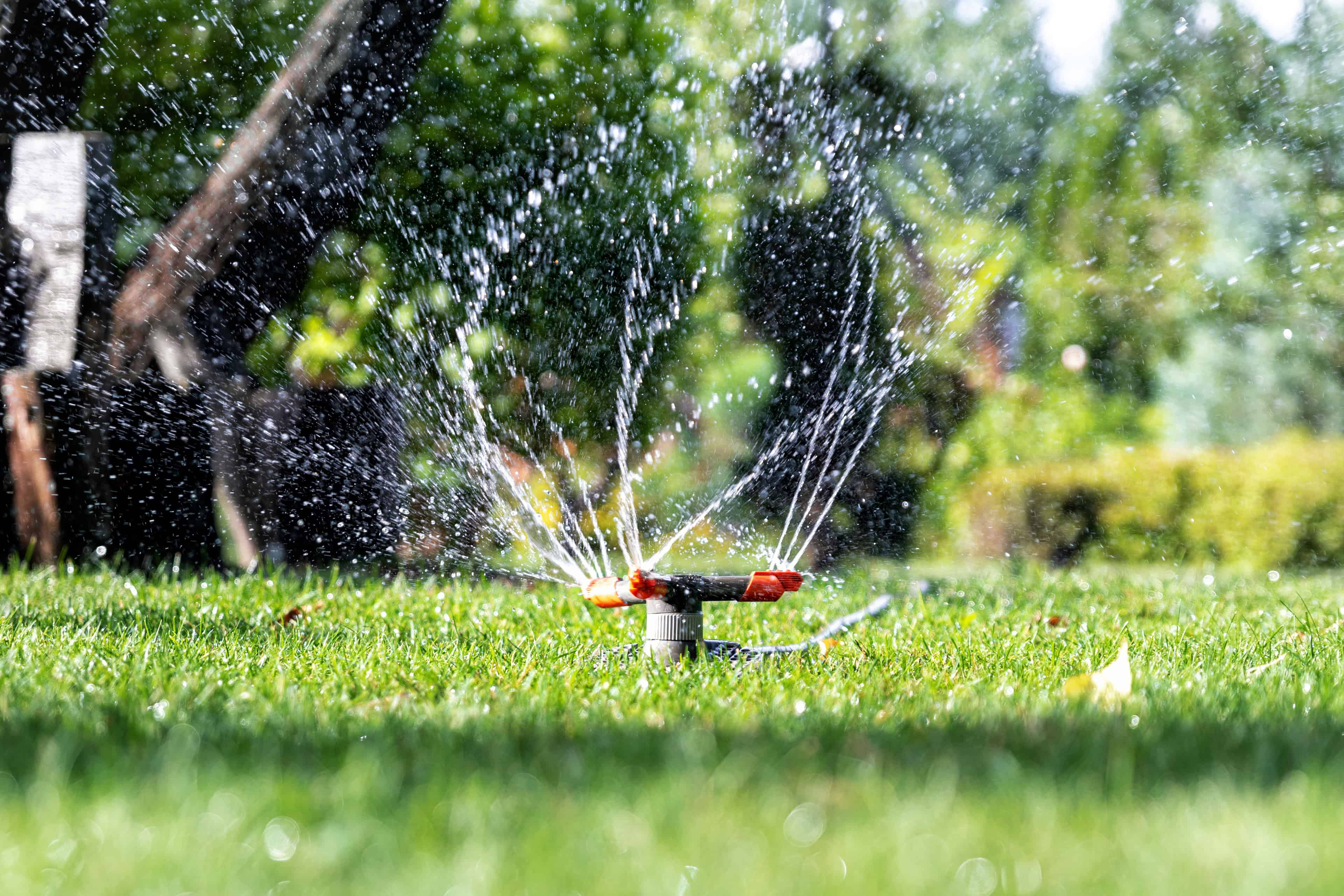 Sprinkler System Repair image